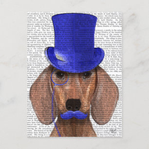 Dachshund met blauw bovenhoofd en blauwe snor briefkaart