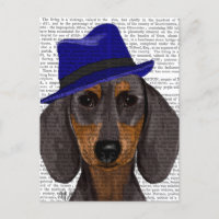 Dachshund met Blue Trilby