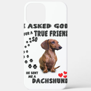 Dachshund Miniature Gift, Sause Dog, Weenie Wog iPhone 12 Pro Max Hoesje