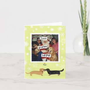 Dachshund Mistletoe Kiss Chiens de Noël Modèle