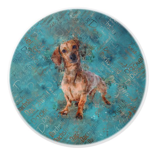 Dachshund Mixed Media Art Keramische Knop (Voorkant)