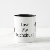 Dachshund Mok (Midden)