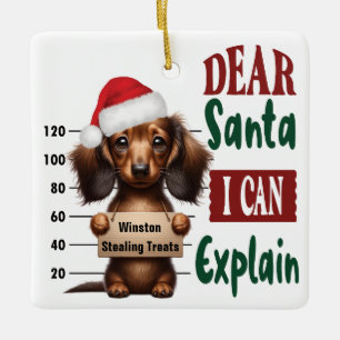 Dachshund Mok Shot: Dear Santa Ik kan het uitlegge Keramisch Ornament