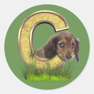 Dachshund-Monogram, hoofdletter C Ronde Sticker