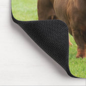 Dachshund Muismat (Hoek)