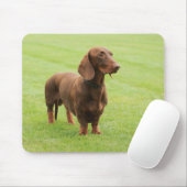 Dachshund Muismat (Met muis)