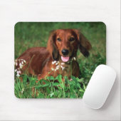 Dachshund Muismat (Met muis)