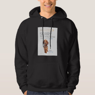 Dachshund Online Shop Ecommerce Verkoper 404 Dog P Hoodie