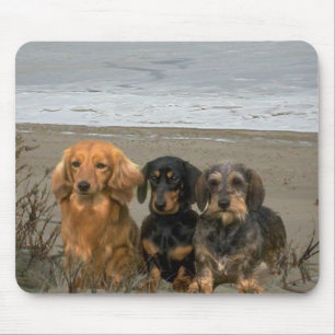 Dachshund op Beach Mousepad Muismat