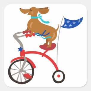 Dachshund op Bike Vierkante Sticker