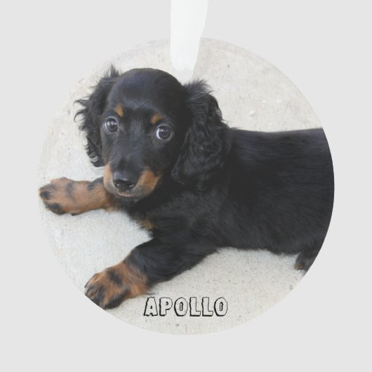 Dachshund Ornement de Noël acrylique Ajouter photo (devant)