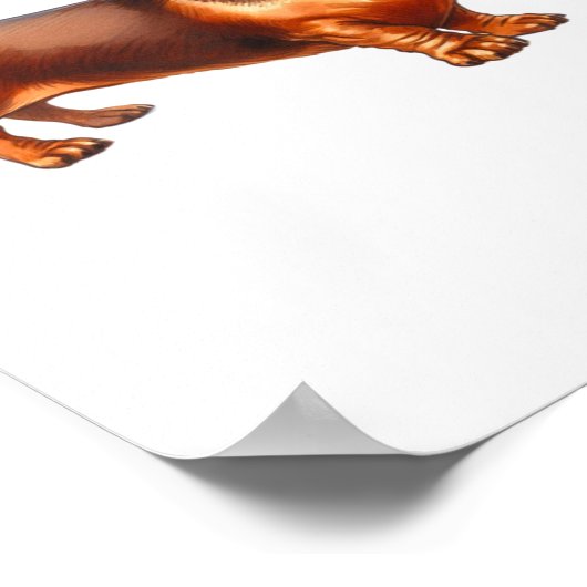 Dachshund Painting - Weiner Dog Waterverf Paintin Poster (Hoek)