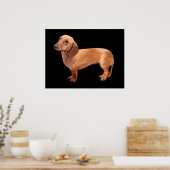 Dachshund par Stephen Renn Impression encadrée (Cuisine)