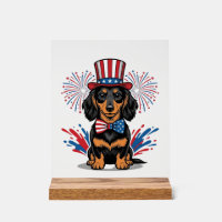 Dachshund patriotique feux d'artifice art vectorie