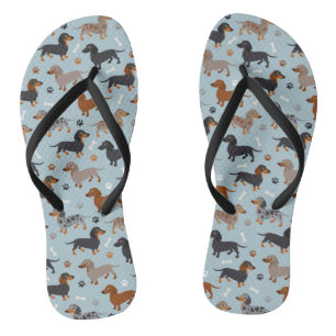 Dachshund Paws and Botten Pattern Blue Teenslippers