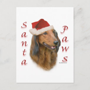 Dachshund Paws - Longhair Briefkaart