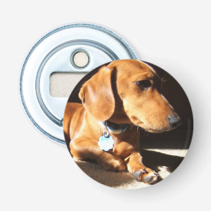 Dachshund Pet Dog Button Flesopener