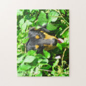 Dachshund Pille À Travers Le Puzzle Feuille (Vertical)