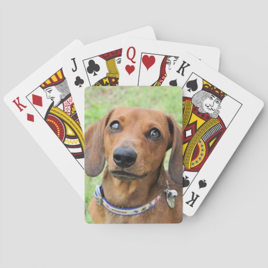 Dachshund Pokerkaarten (Achterkant)