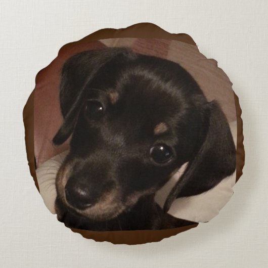 Dachshund Poly Round Sierkussen (16 inch) Rond Kussen (Achterkant)