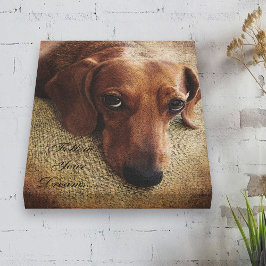 Dachshund Portrait Canvas Wrap