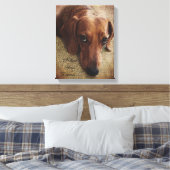 Dachshund Portrait Toile (Insitu(Chambre))