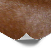 Dachshund Poster (Hoek)