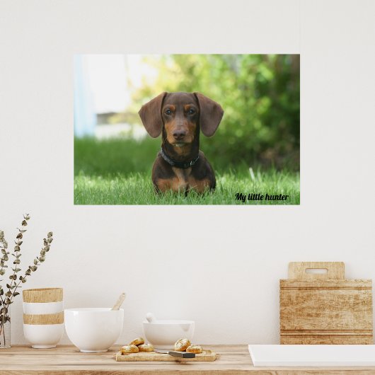 Dachshund Poster (Keuken)