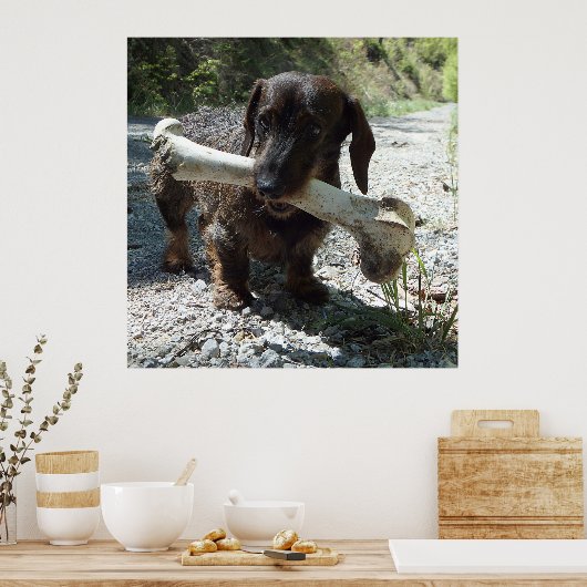 Dachshund Poster (Keuken)