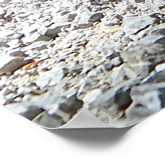 Dachshund Poster (Hoek)