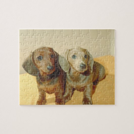 Dachshund Puppies Dog Puzzle Legpuzzel (Horizontaal)