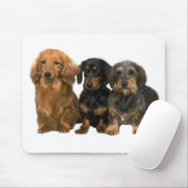 Dachshund Puppies Mousepad Muismat (Met muis)