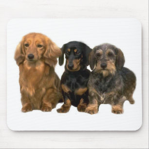 Dachshund Puppies Mousepad Muismat