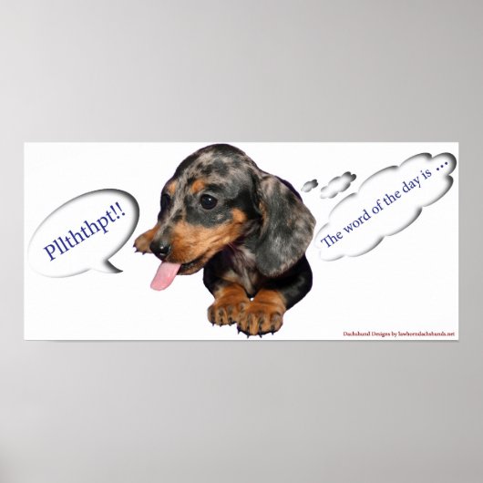Dachshund Puppy Attitude Poster (Devant)