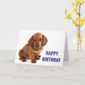 Dachshund Puppy Birthday Kaart (Gele Bloem)