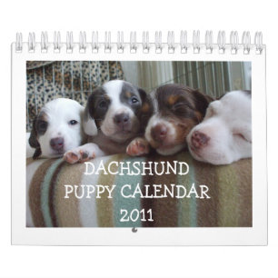 Dachshund Puppy Calendar 2011 Kalender