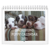 Dachshund Puppy Calendar 2011 Kalender (Hoes)