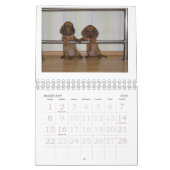Dachshund Puppy Calendar 2011 Kalender (Feb 2026)