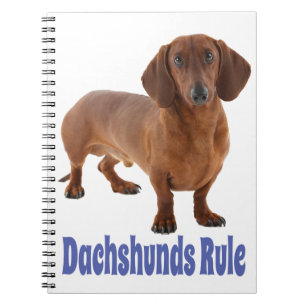 Dachshund Puppy Dog Blue Love Notitieboek