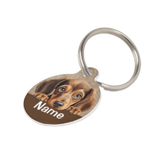Dachshund Puppy Dog Pet Huisdierpenning