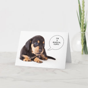 Dachshund Puppy Get Well Card Kaart