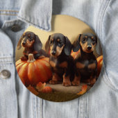 Dachshund Puppy Herfst Delight Pompoen Ronde Button 6,0 Cm (In situ)