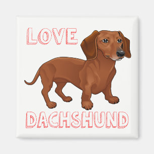 Dachshund Puppy Hond Rode Liefde Magneet