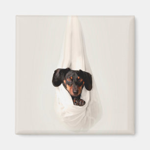 Dachshund Puppy in Hammock Cute Schattige Dog Magneet