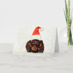 Dachshund puppy kerstkaart feestdagen kaart