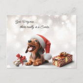 Dachshund Puppy Kerstmis Verrassing Briefkaart (Voorkant)