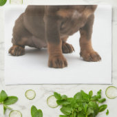 Dachshund Puppy Kitchen Towel Theedoek (Gevouwen)