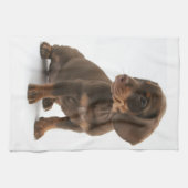 Dachshund Puppy Kitchen Towel Theedoek (Horizontaal)