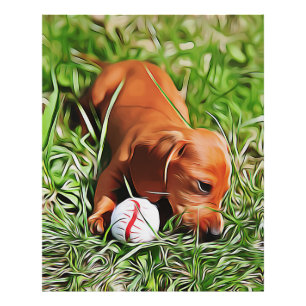 Dachshund Puppy Lazing in gras met all-mas POS Foto Afdruk