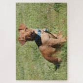 Dachshund Puppy Legpuzzel (Verticaal)